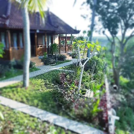 Kkorok Hill Cottage